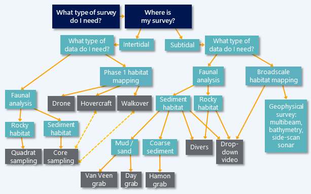Core sampling surveys