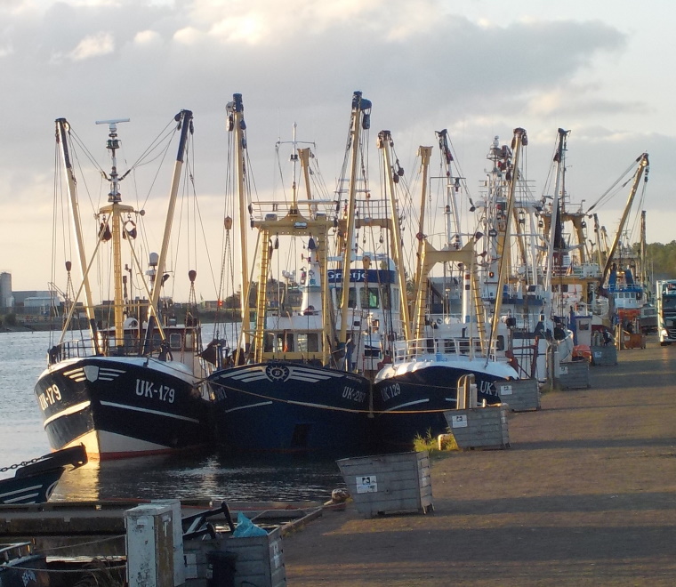REPORT Building resilience of fisheries governance in the North East Atlantic
