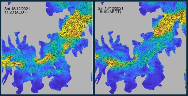 Tidal current visualisations around the Plymouth race area during ebb and flood tidal phases