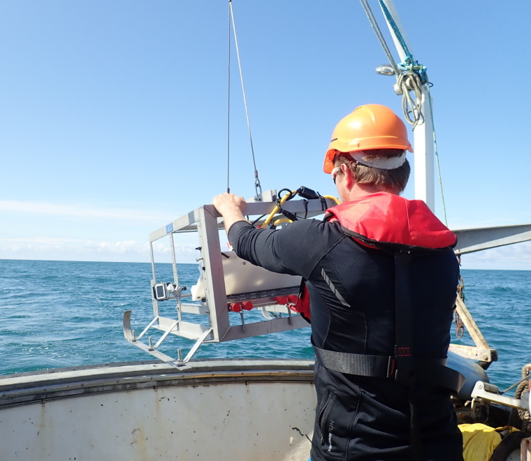 E-zine Issue 30 Scottish offshore wind delivering net gain survey microsite laun