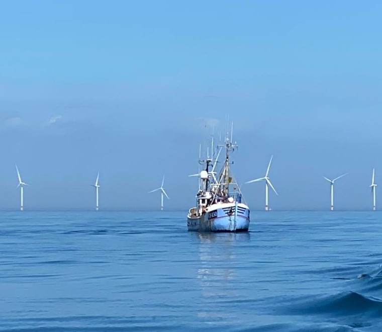 Major milestone in fisheries and offshore renewable energy cross-sector engagement: updated guidance