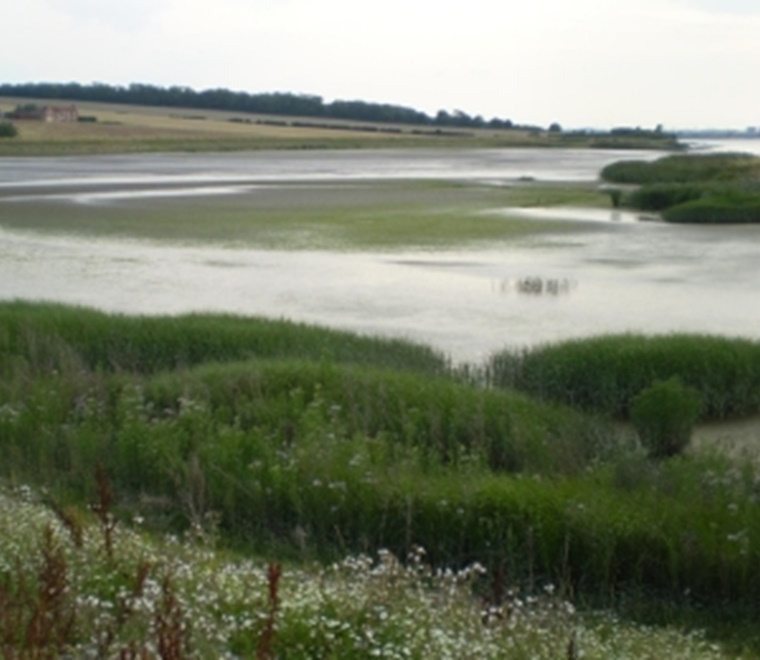 Monitoring Welwick and Chowderness managed realignments