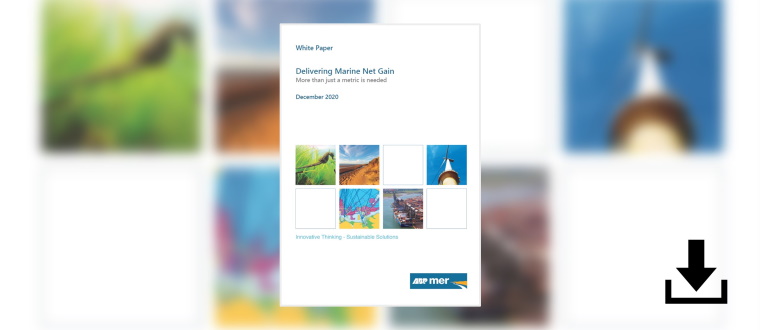 Download Delivering Net Gain White Paper