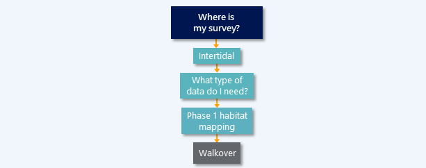 Walkover survey diagram