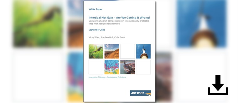 intertidal-net-gain-are-we-getting-it-wrong-760x330 (1).jpg