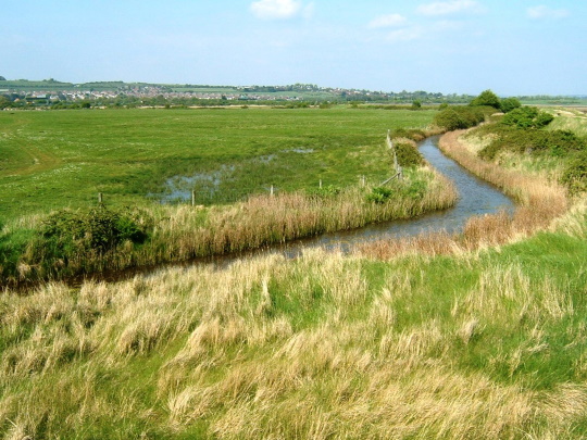 farlington-marsh-540x405.jpg (1)