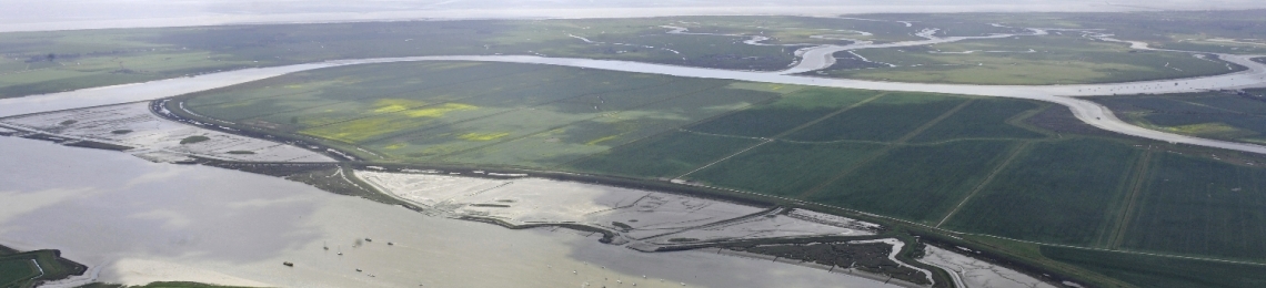 managed-realignment (2)