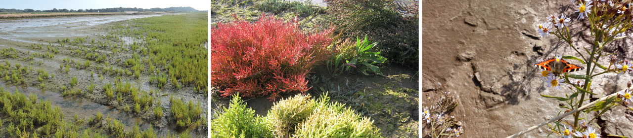 managed-realignments-1280x280 (1)