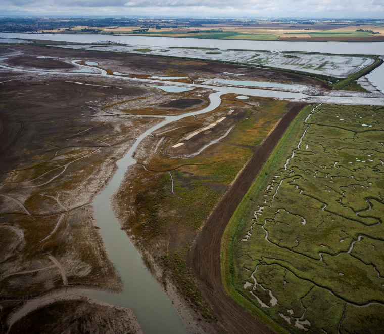 White Paper 25 years of marine habitat creation in the UK