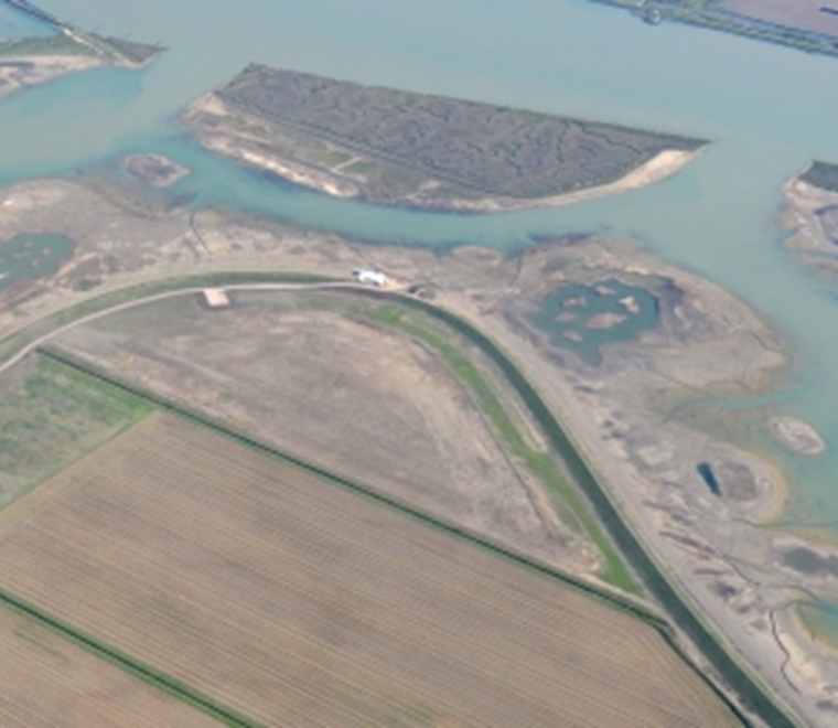 Early development and monitoring of Jubilee Marsh 5 months on