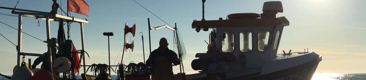 fishing-in-torbay (9)