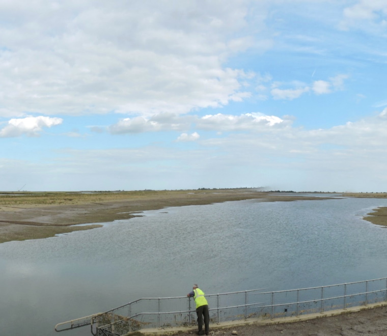 Monitoring of Wallasea Island Wild Coast 1 year on