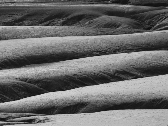 Supporting MPA condition assessment in Welsh waters