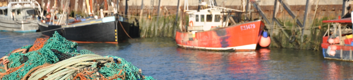 whitstable-fishery (1)